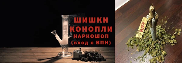 ПСИЛОЦИБИНОВЫЕ ГРИБЫ Алексеевка