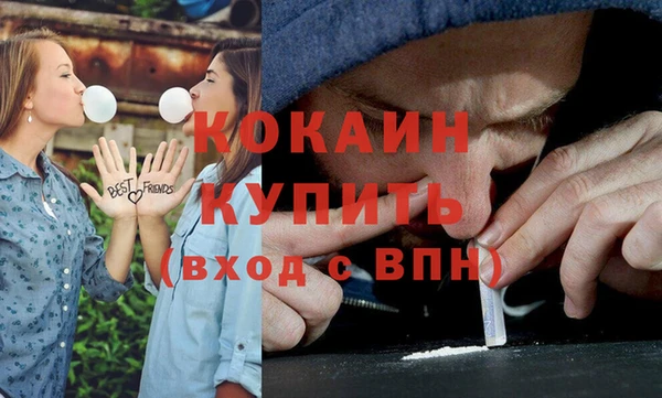 меф Дмитриев
