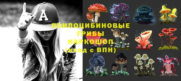 ПСИЛОЦИБИНОВЫЕ ГРИБЫ Алексеевка