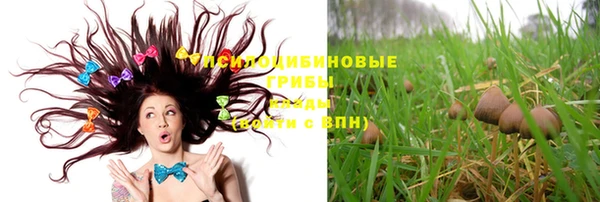 ПСИЛОЦИБИНОВЫЕ ГРИБЫ Алексеевка