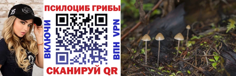 KRAKEN ТОР Строитель Псилоцибиновые грибы ЛСД наркота
